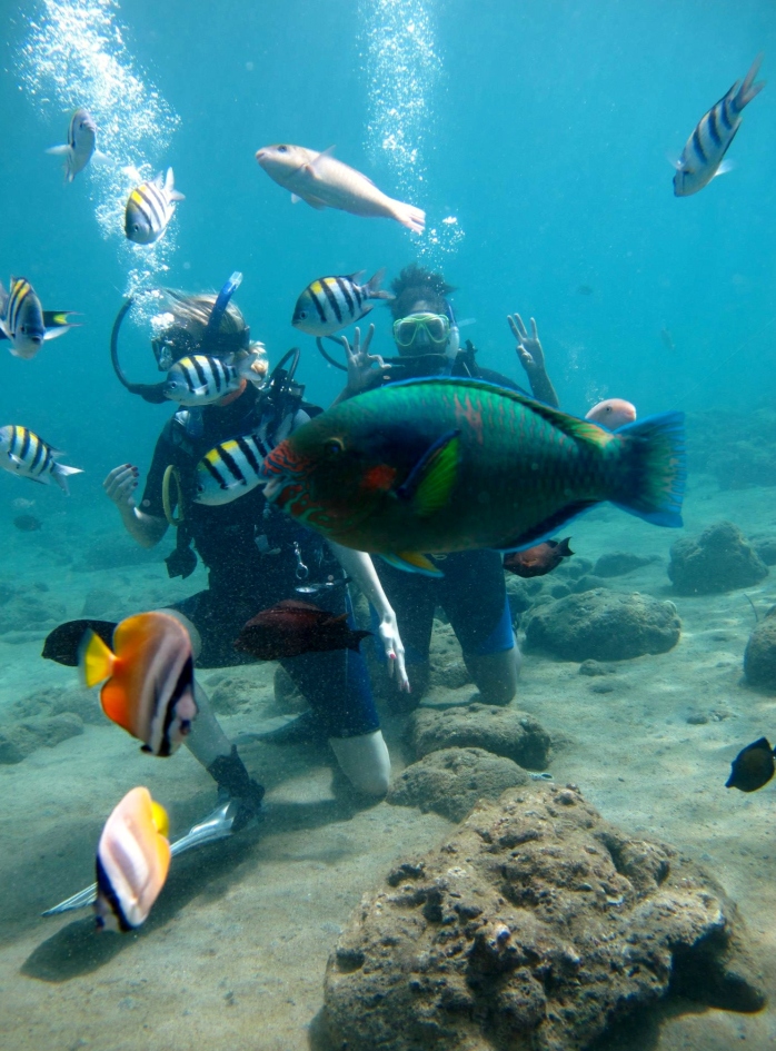 Parrot Fish Photo Bomb! (Photo Credit - Mich Calma)